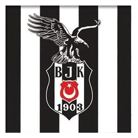 Beşiktaş Kağıt Peçete