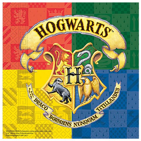 Harry Potter Hogwarts Peçete 20li